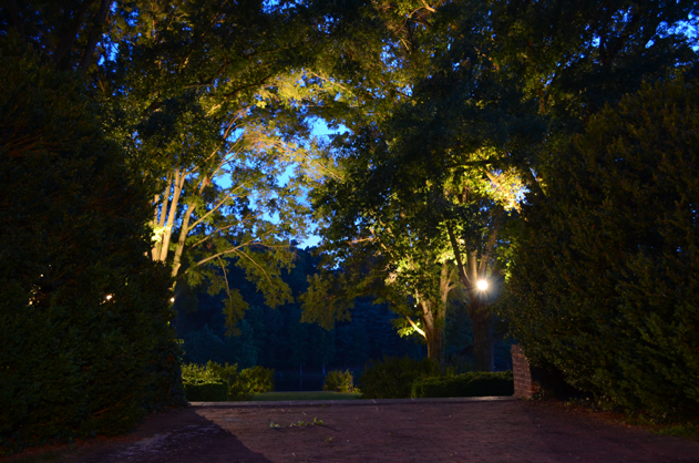 charlotteville-virginia-event-tree-lights-2